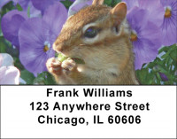 Chipmunks Everywhere Address Labels | LBZANJ-27