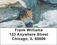 Chipmunks Everywhere Address Labels | LBZANJ-27