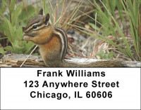 Chipmunks In Woods Address Labels | LBZANJ-28