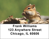 Chipmunks In Woods Address Labels | LBZANJ-28