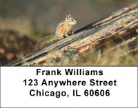 Chipmunks In Woods Address Labels | LBZANJ-28