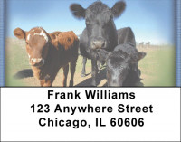 Black Angus Address Labels | LBZANJ-29