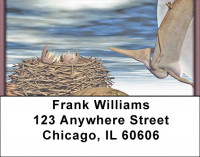 New Worlds Address Labels | LBZANJ-31