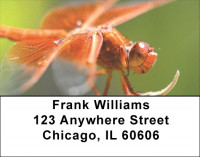 Dragonfly Maneuvers Address Labels | LBZANJ-32