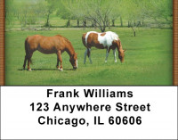 Grazing Green Pastures Address Labels | LBZANJ-36
