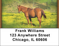 Grazing Green Pastures Address Labels | LBZANJ-36