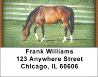 Grazing Green Pastures Address Labels | LBZANJ-36