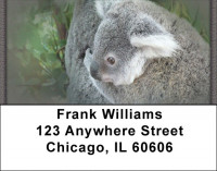 Kuddly Koala Address Labels | LBZANJ-37