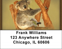 Kuddly Koala Address Labels | LBZANJ-37