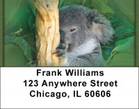 Kuddly Koala Address Labels | LBZANJ-37