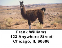 Llama Address Labels | LBZANJ-38
