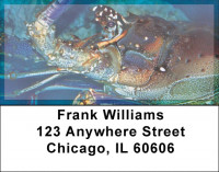 Lobsters In Ocean Bottom Address Labels | LBZANJ-40