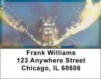 Lobsters In Ocean Bottom Address Labels | LBZANJ-40