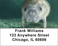 Manatee Address Labels | LBZANJ-41