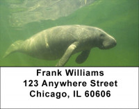 Manatee Address Labels | LBZANJ-41