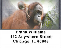 Monkeys Address Labels | LBZANJ-42