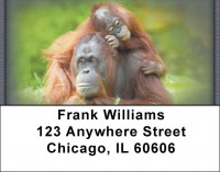 Monkeys Address Labels | LBZANJ-42