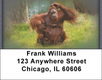 Monkeys Address Labels | LBZANJ-42