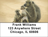 Monkey Days Address Labels | LBZANJ-44