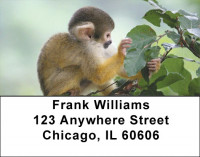Whatcha Thinkin Address Labels | LBZANJ-45