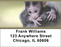 Baby Monkeys Address Labels | LBZANJ-47