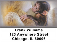 Baby Monkeys Address Labels | LBZANJ-47