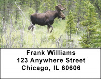 Moose Address Labels | LBZANJ-48