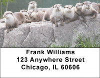 Otter Address Labels | LBZANJ-49