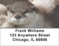 Otter Address Labels | LBZANJ-49