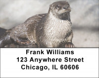 Otter Address Labels | LBZANJ-49