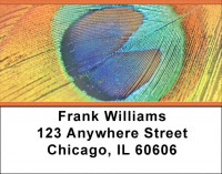 Peacock Pride Address Labels | LBZANJ-51