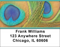 Peacock Pride Address Labels | LBZANJ-51