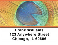 Peacock Pride Address Labels | LBZANJ-51