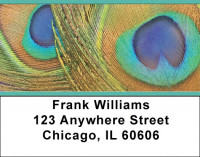 Peacock Pride Address Labels | LBZANJ-51