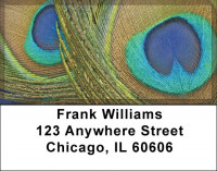 Peacock Plumes Address Labels | LBZANJ-52