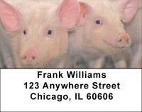 Pigs Address Labels | LBZANJ-58
