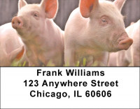 Pigs Address Labels | LBZANJ-58
