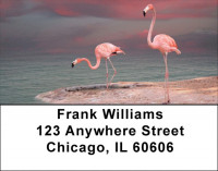 Pink Flamingo Address Labels | LBZANJ-59