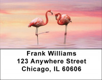 Pink Flamingo Address Labels | LBZANJ-59