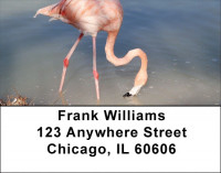 Pink Flamingo Address Labels | LBZANJ-59