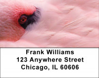 Pink Flamingo Address Labels | LBZANJ-59