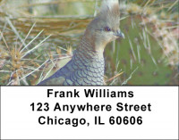 Quail Closeups Address Labels | LBZANJ-60