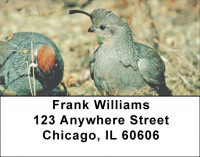Quail Closeups Address Labels | LBZANJ-60