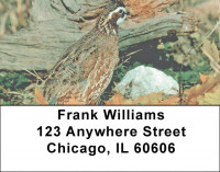 Quail Closeups Address Labels | LBZANJ-60
