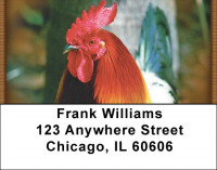 Roosters Address Labels | LBZANJ-62