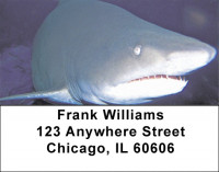 Jaws Address Labels | LBZANJ-63