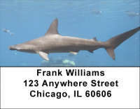 Shark Infested Waters Address Labels | LBZANJ-64