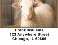 Counting Sheep Address Labels | LBZANJ-65