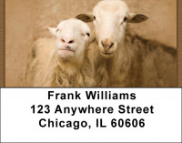 Counting Sheep Address Labels | LBZANJ-65