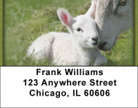 Lambs Address Labels | LBZANJ-67